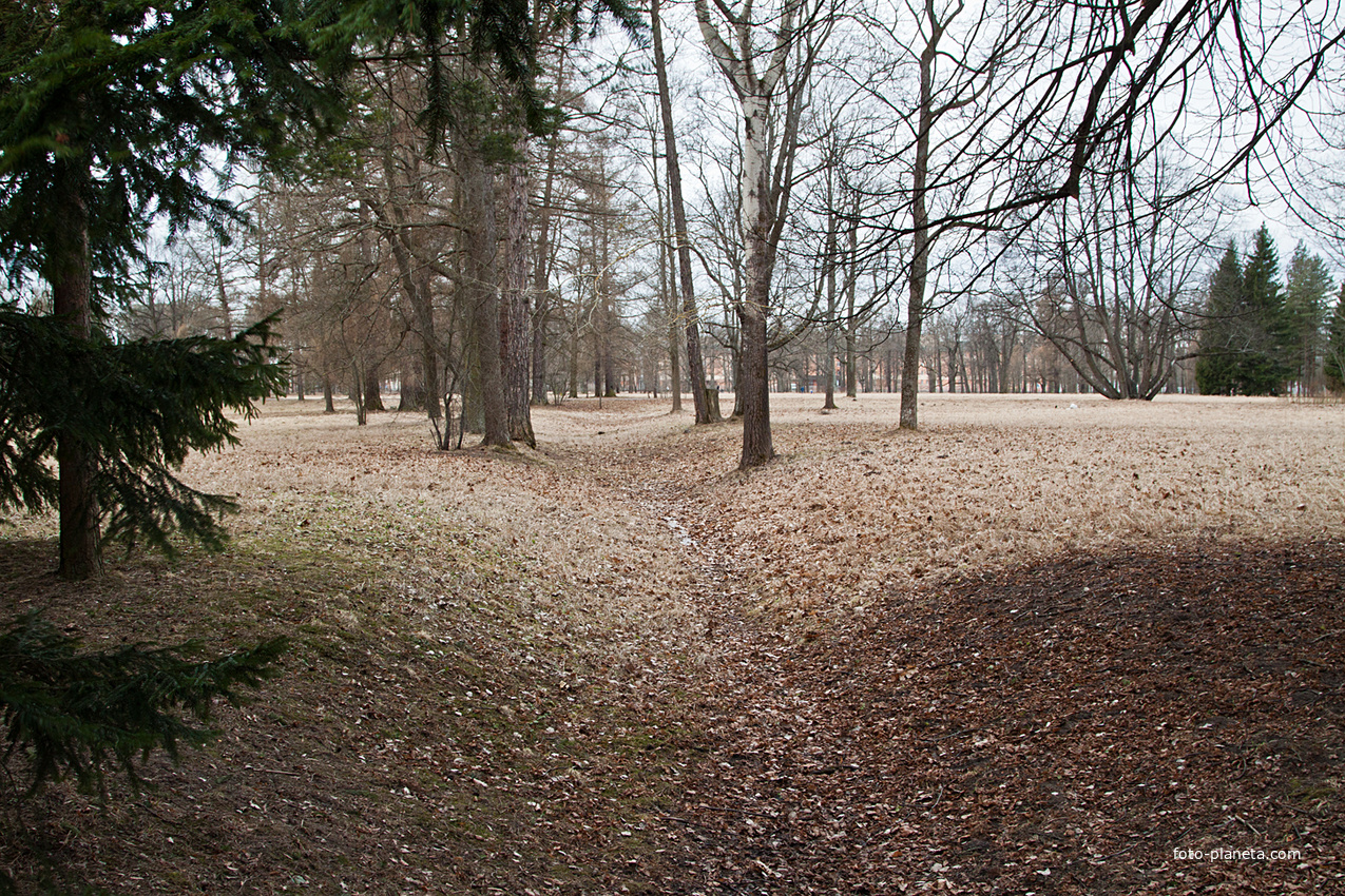 Екатерининский парк