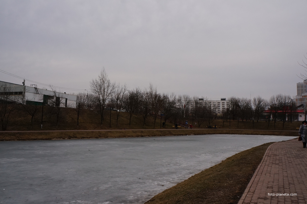 Пруд в Бирюлево Западном