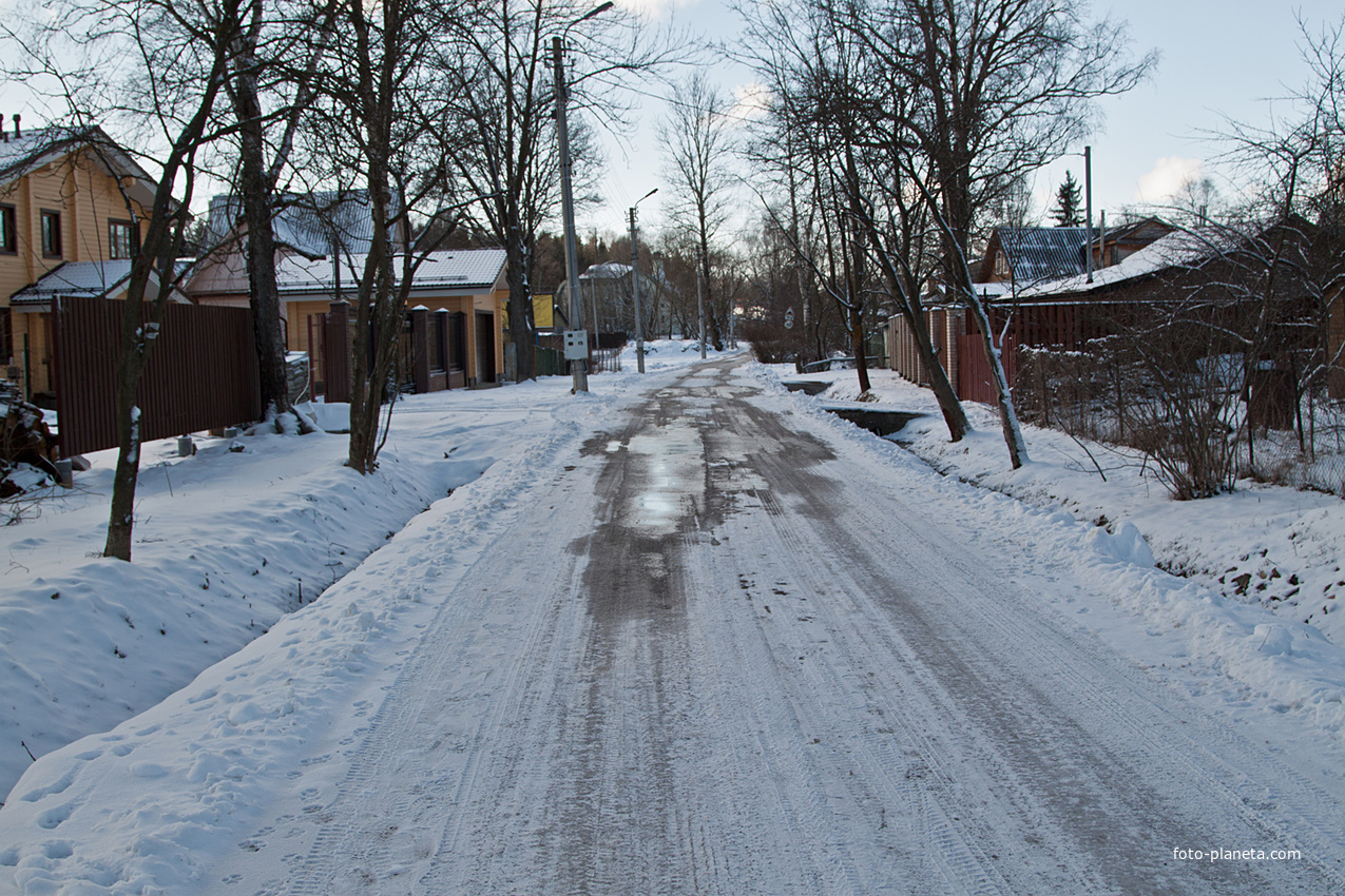 Улица Березовая