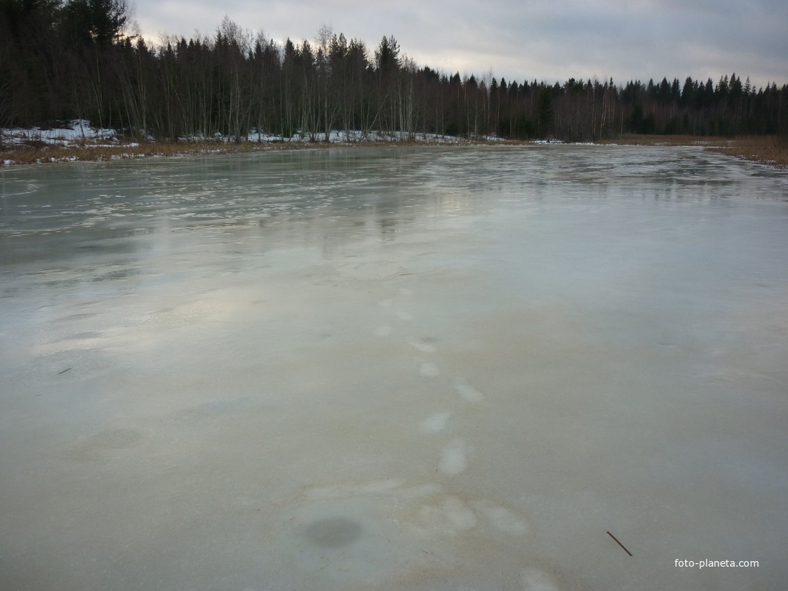 Озеро зимой