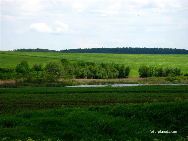 Борівці