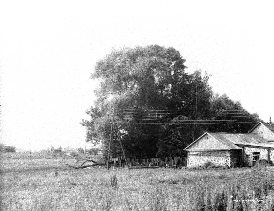 Деревня пронь тульская область. Погода в прони тульская. Гремячее тульская. Благоустройство аллеи памяти. Гремячее тульская.