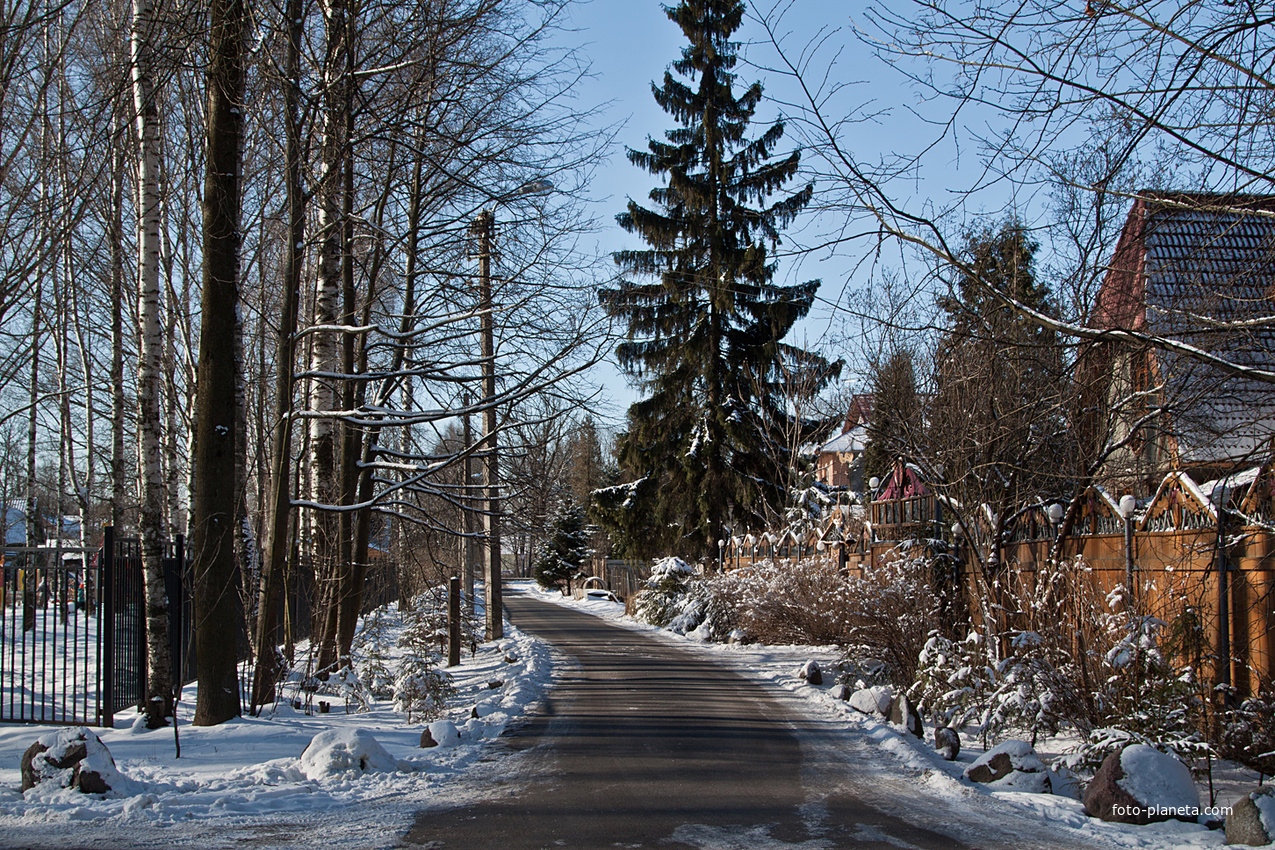 Улица Горького