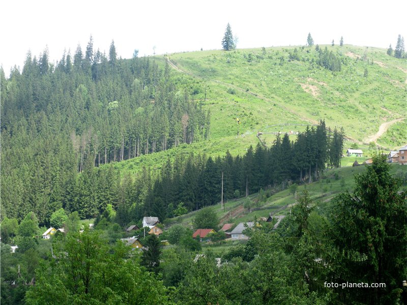 Путила