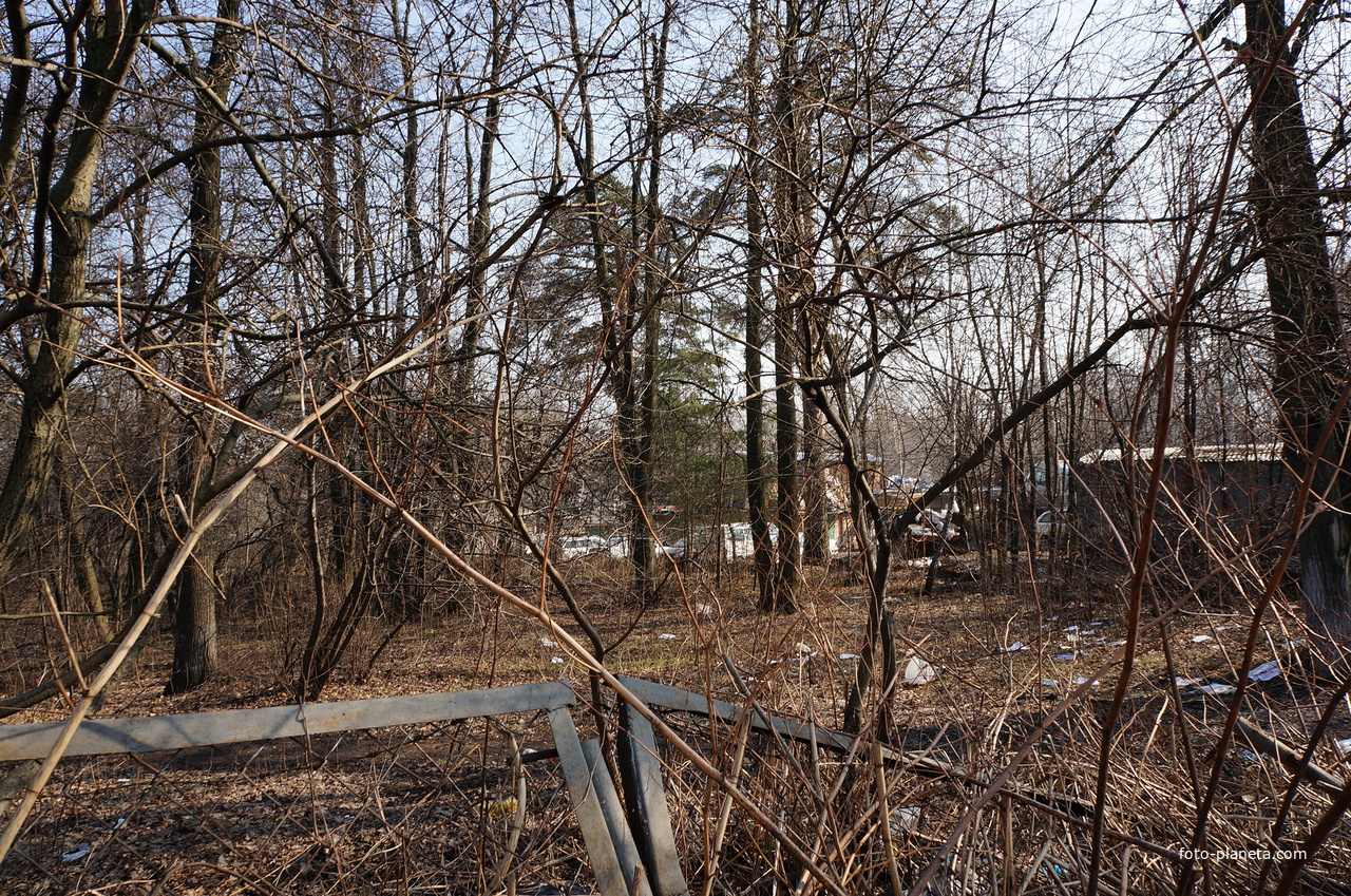 Дача Муромцева