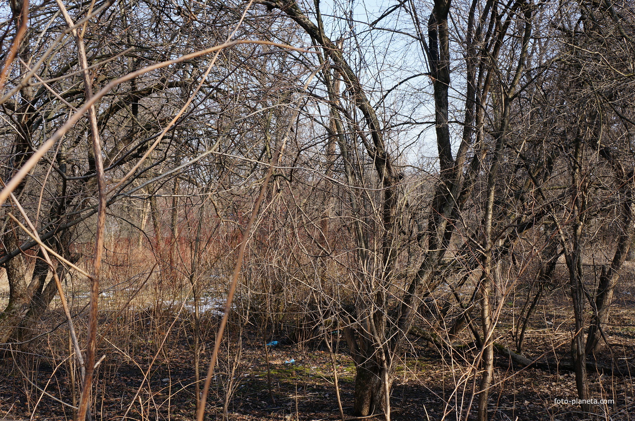 Дача Муромцева