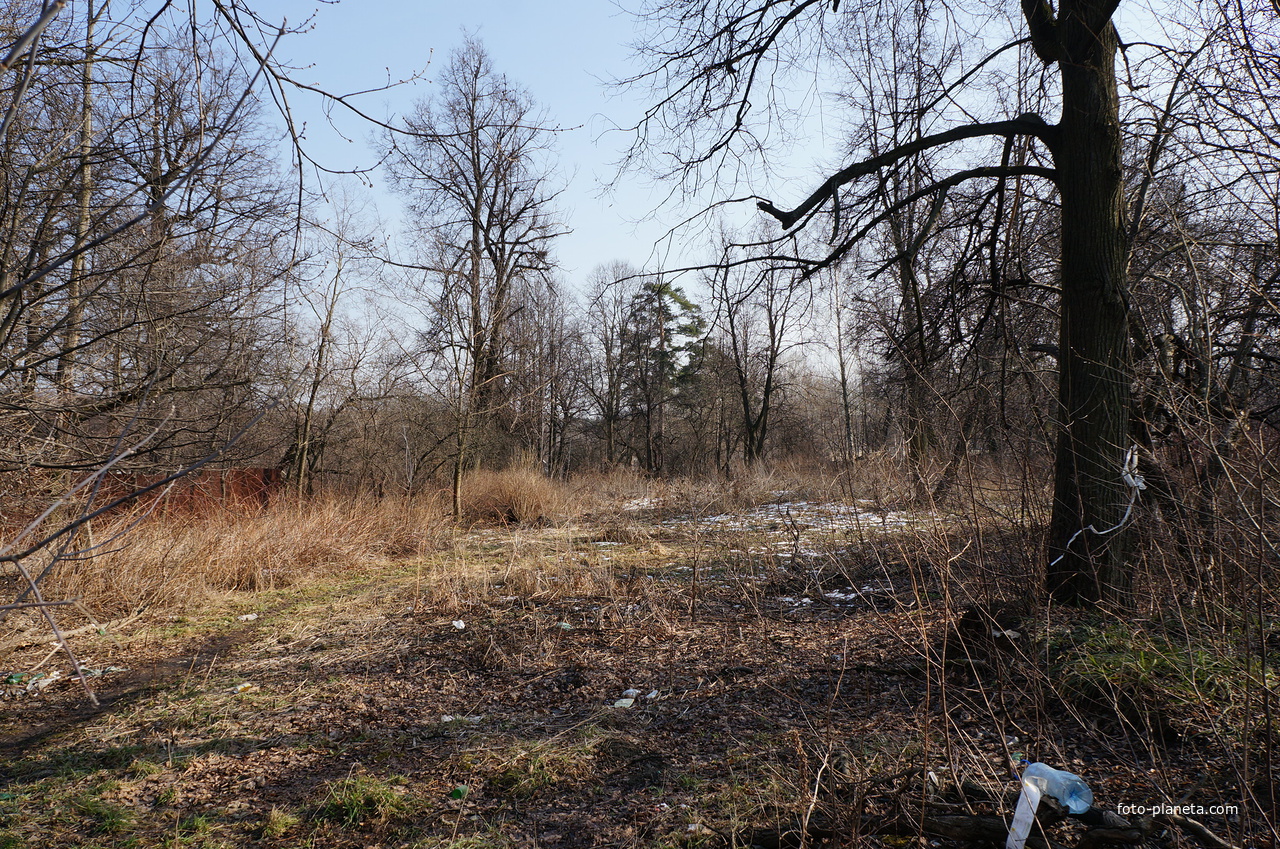 Дача Муромцева