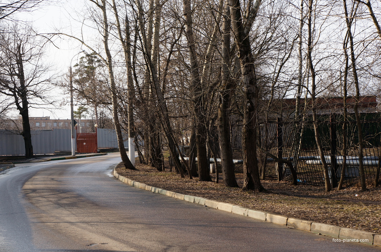 Спортивная улица