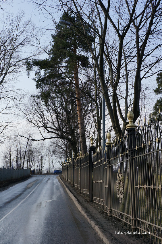 3-я Радиальная улица