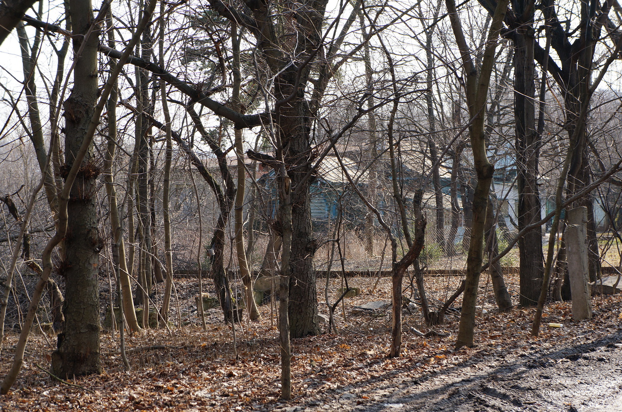 Сохранившийся дачный дом с участком