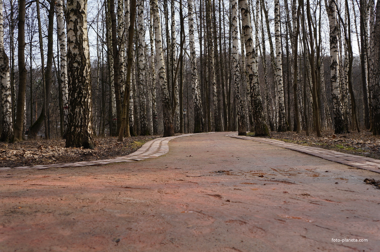 Покровская сторона, дорожки в парке