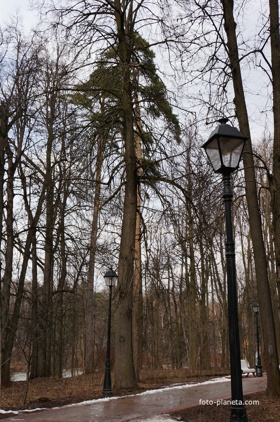 Урочище Бахрушинка, парк Царицыно