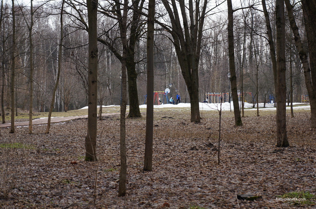 Урочище Бахрушинка, парк Царицыно