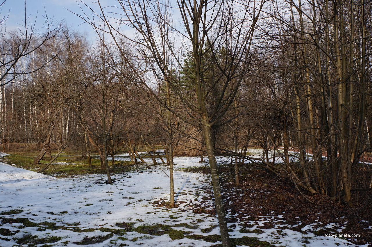 Парк Царицыно - Бахрушинка