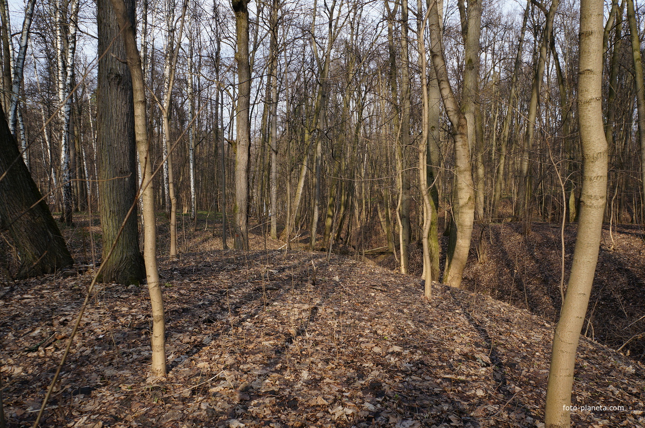 Бахрушинка