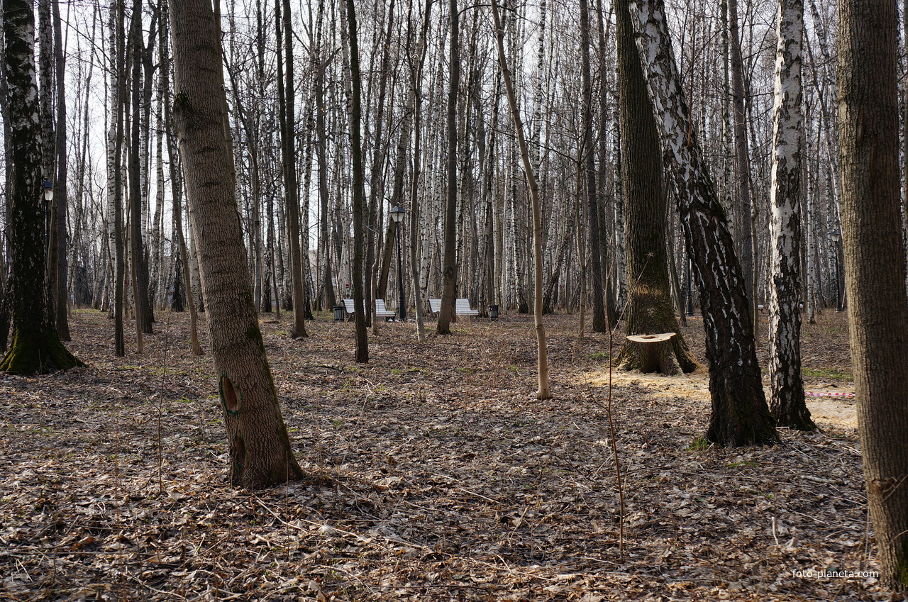 Бахрушинка