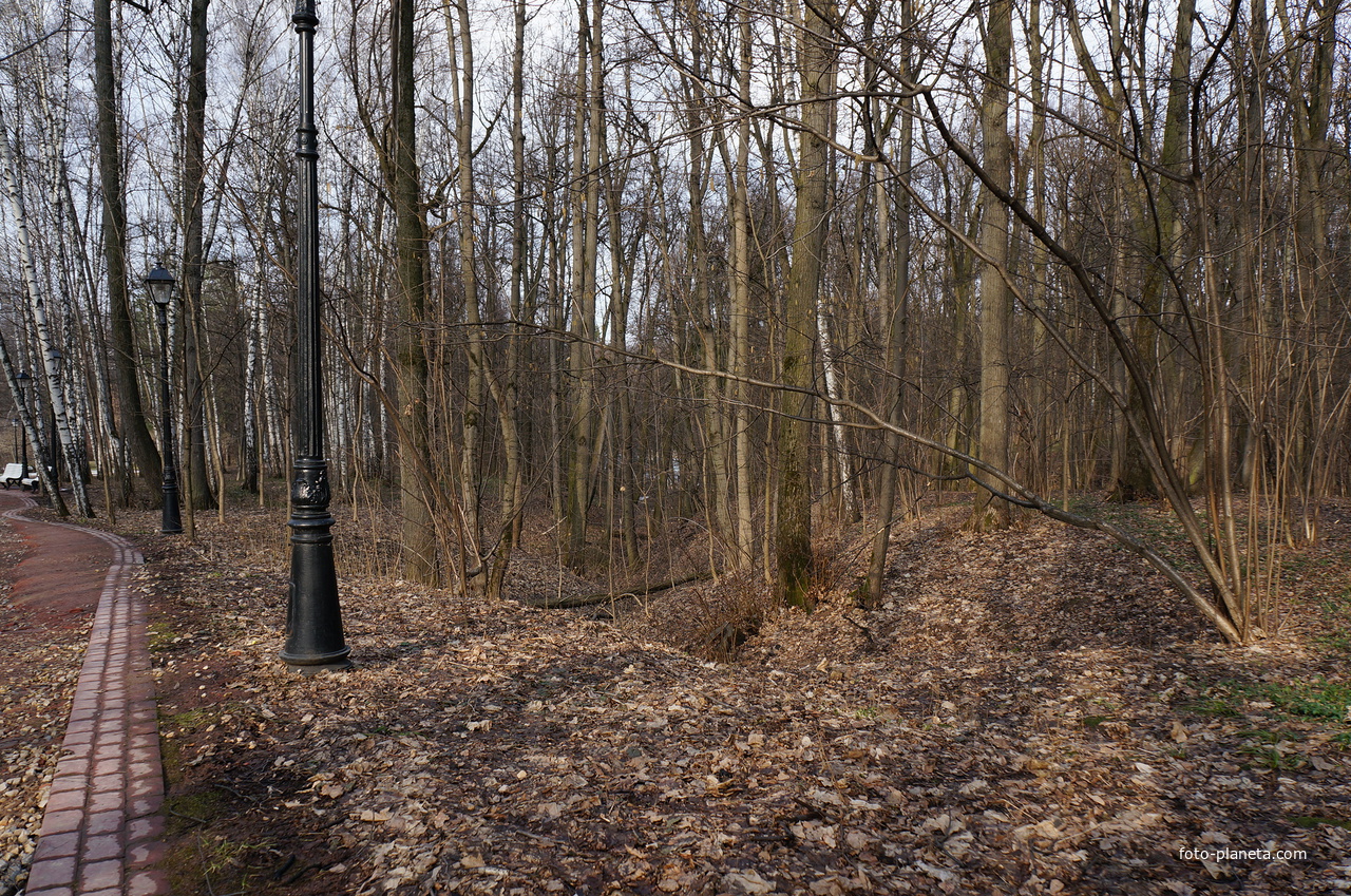 Бахрушинка