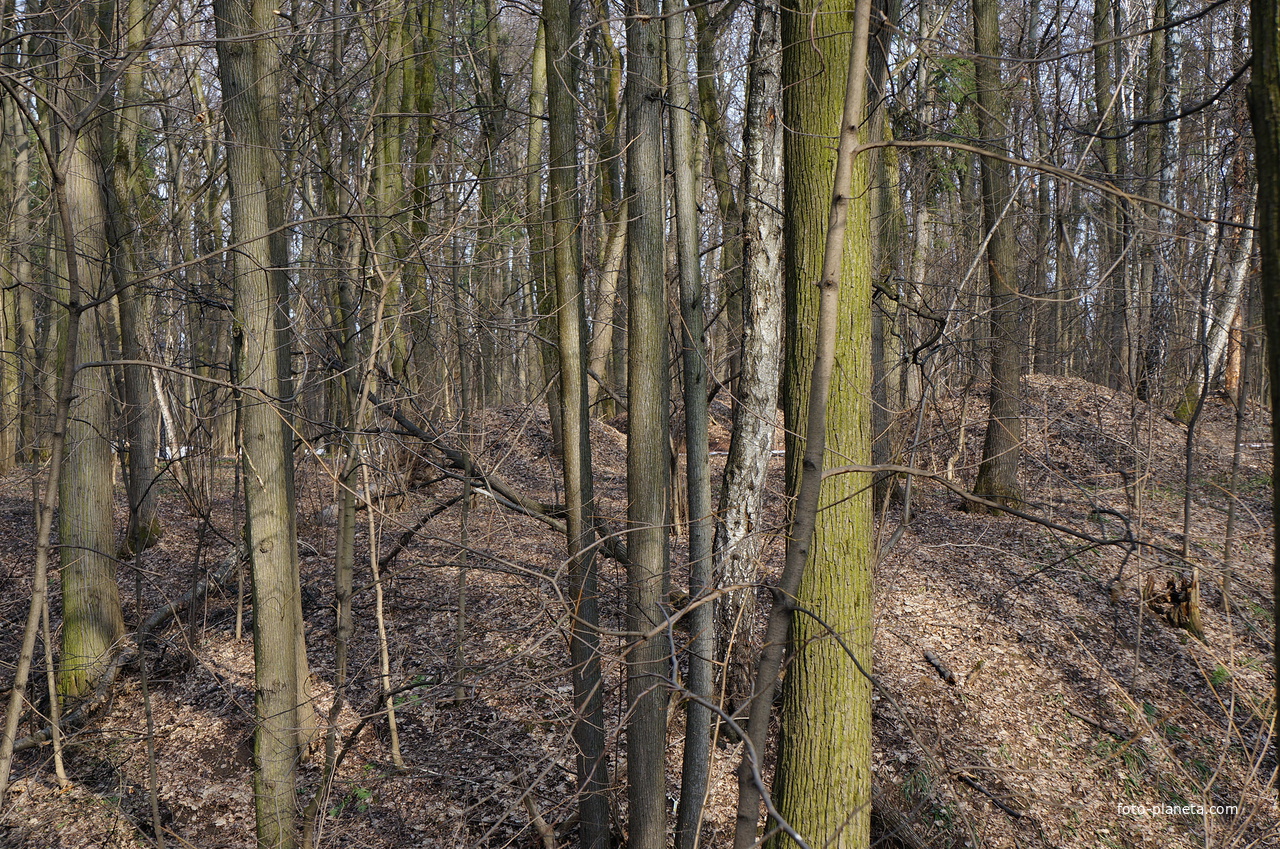 Урочище «Бахрушинка»