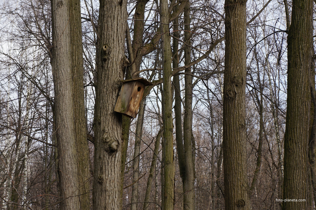 Бахрушинка