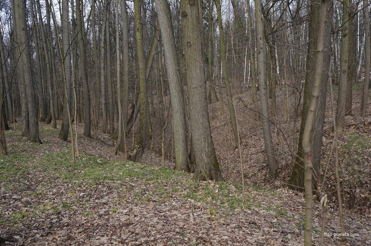 Бахрушинка, овраг