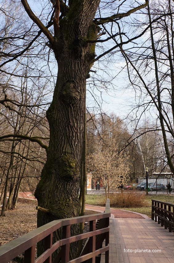 Бахрушинка, парк Царицыно