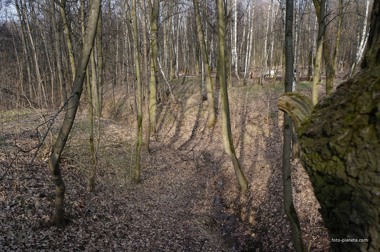 Бахрушинка, парк Царицыно