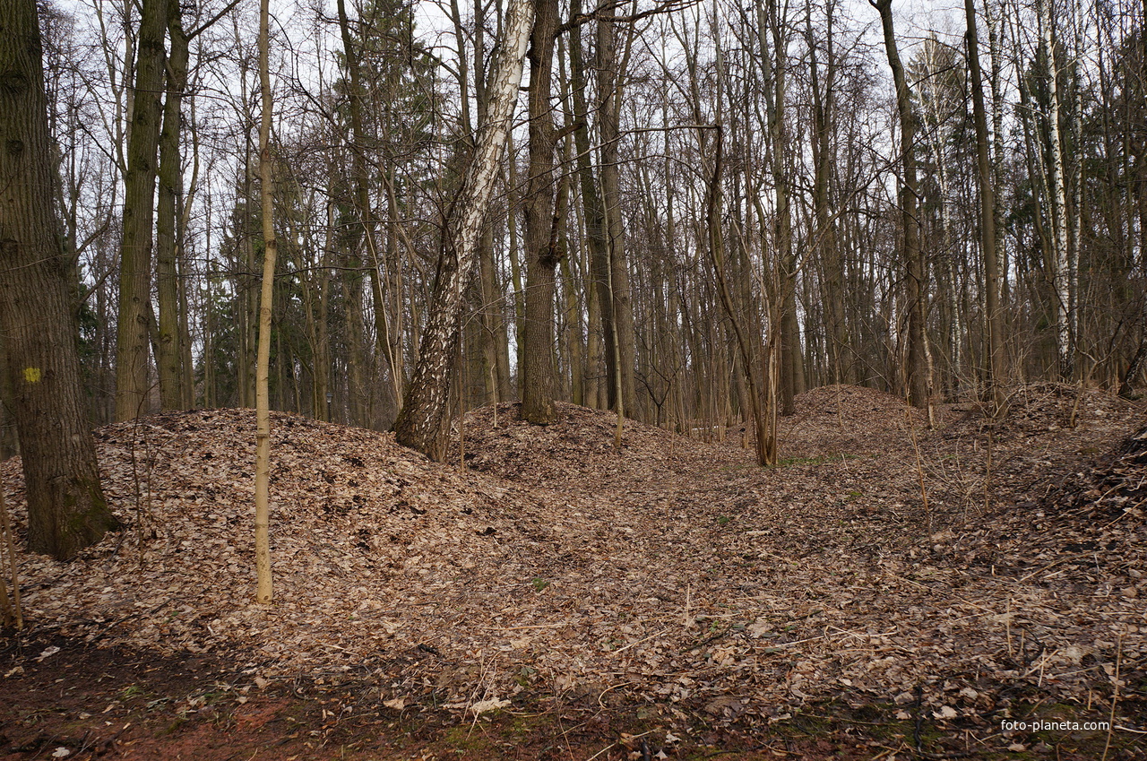 Урочище Бахрушинка - Курганы-могильники вятичей XI-XII веков