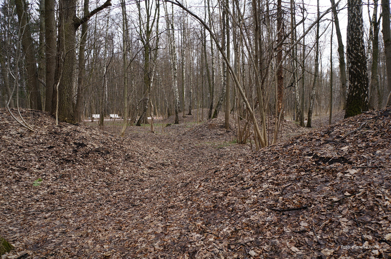 Курганы-могильники вятичей XI-XII веков, Бахрушинка