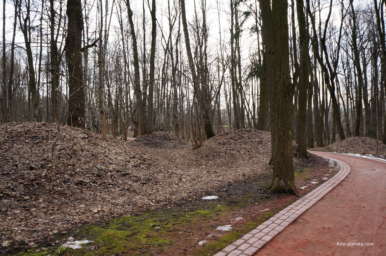 Курганы-могильники вятичей XI-XII веков, Бахрушинка