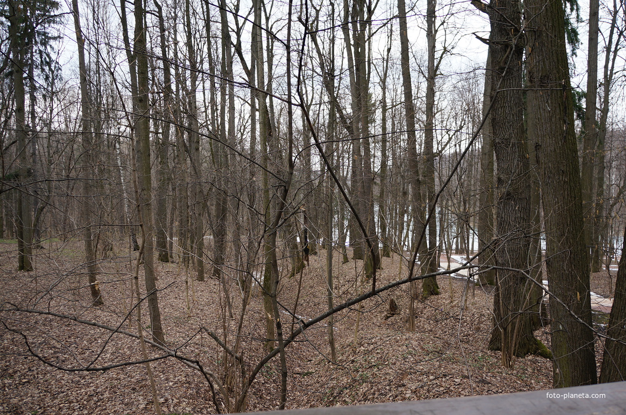 Бахрушинка