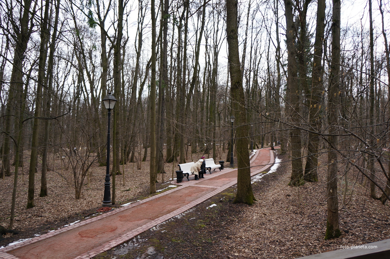 Бахрушинка