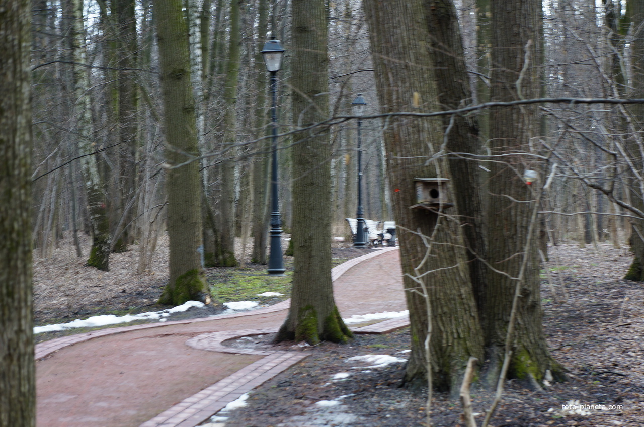 Бахрушинка