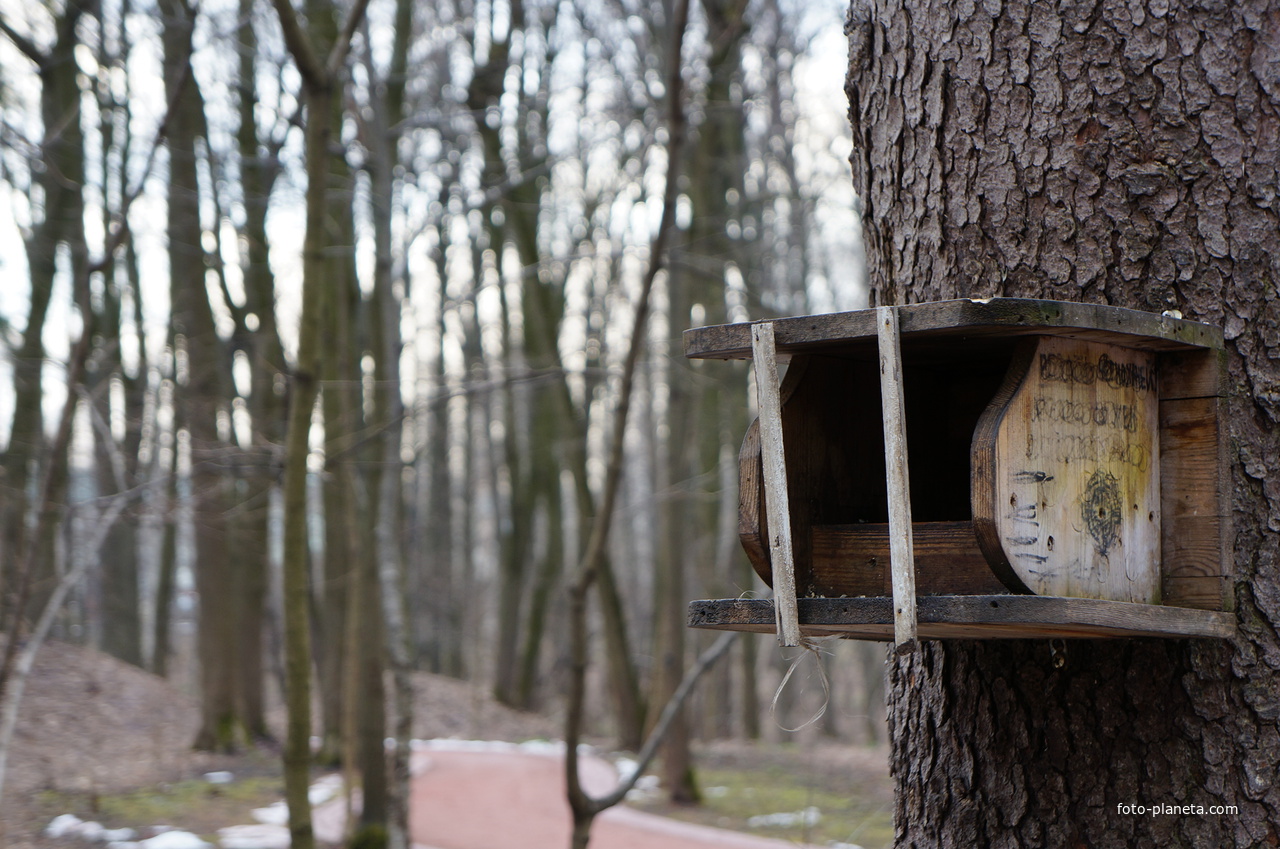 Бахрушинка, кормушка для птиц