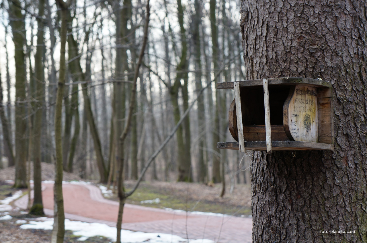 Бахрушинка