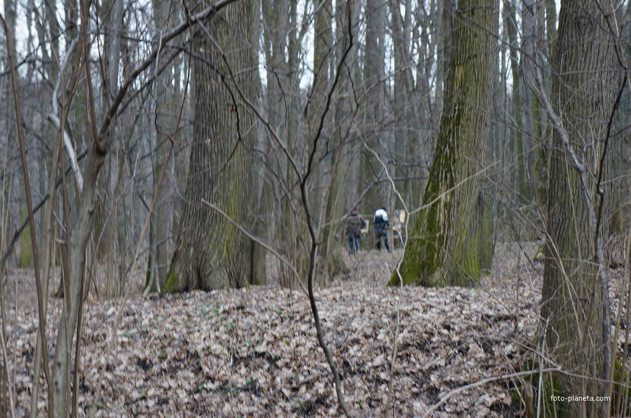 Бахрушинка, художники