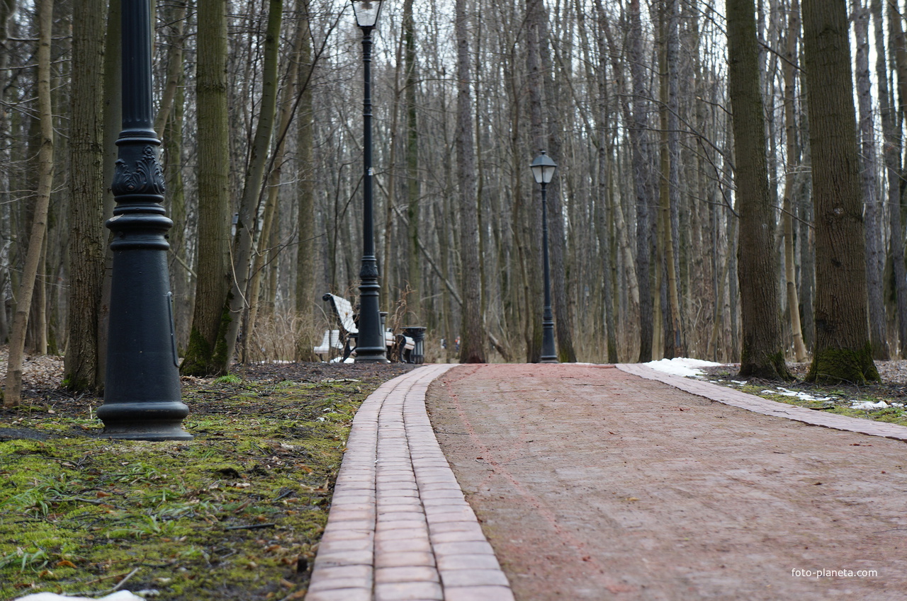 Бахрушинка