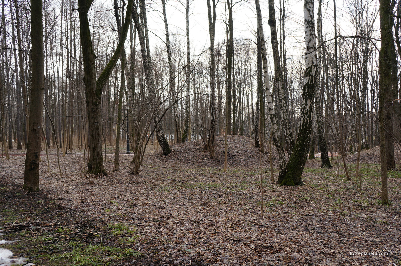 Урочище Бахрушинка - Курганы вятичей