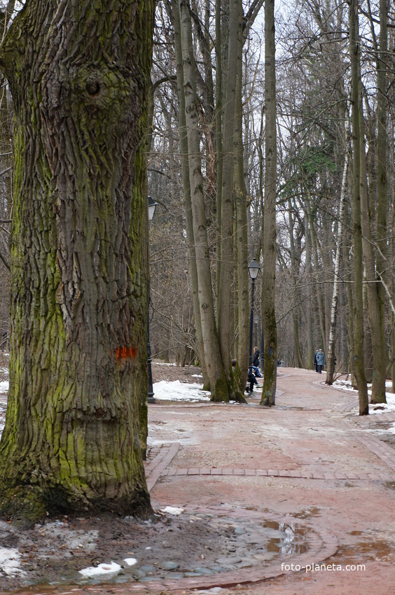 Парк Царицыно, Бахрушинка