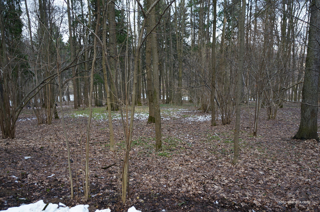 Парк Царицыно, Бахрушинка