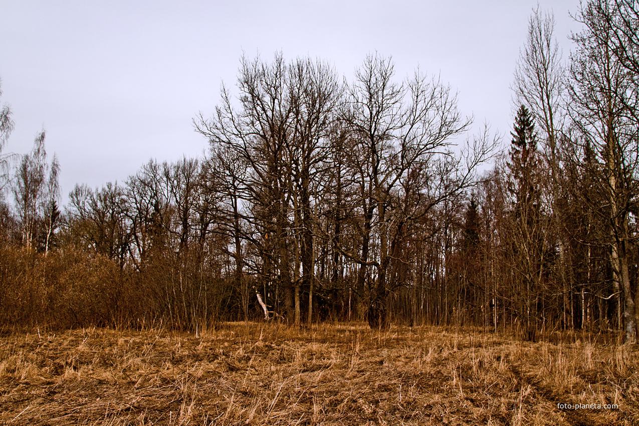 Фермский парк