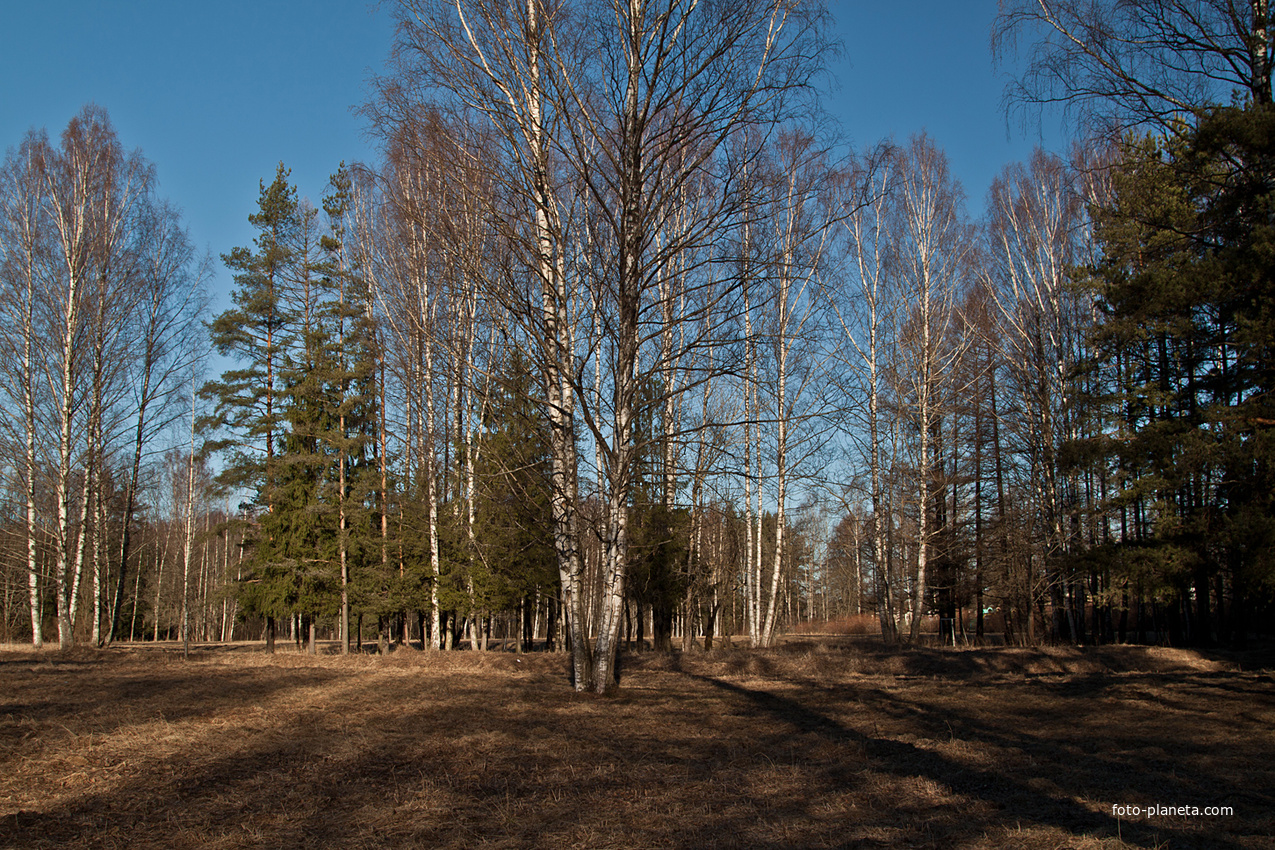 Павловский парк