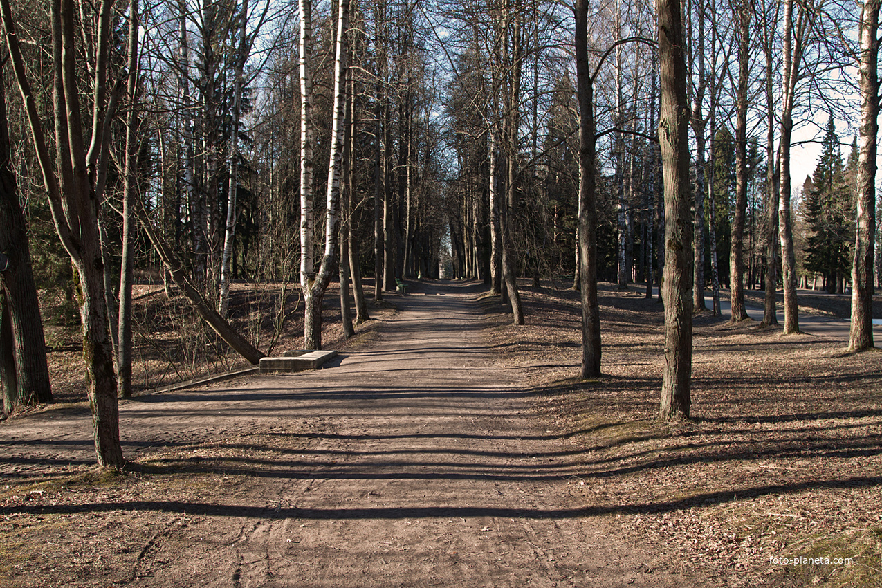 Павловский парк