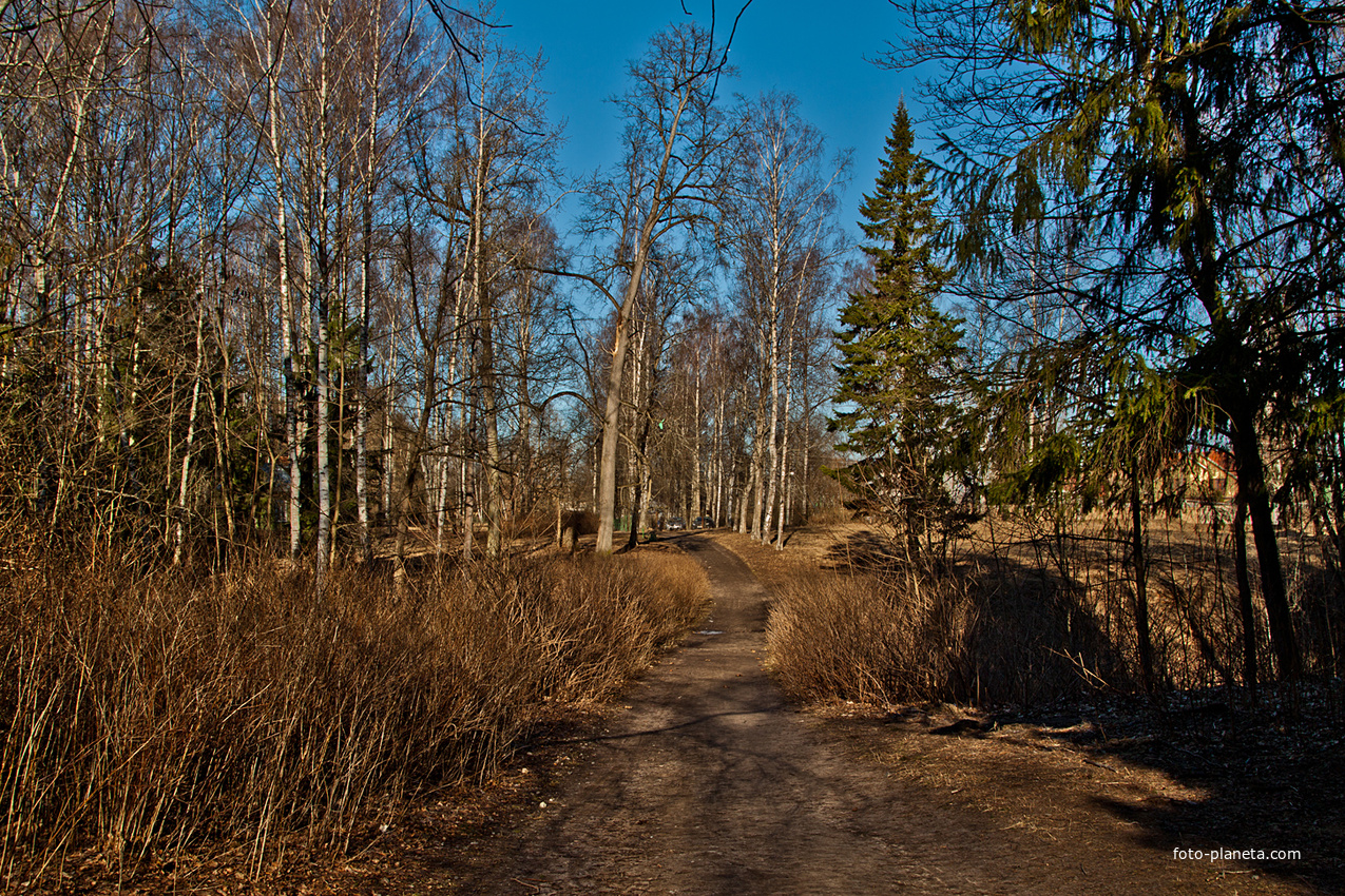 Павловский парк