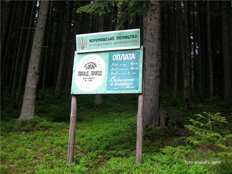 Нижний Яловец