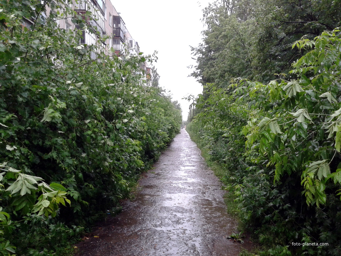 Дождливое утро на проспекте Свердлова