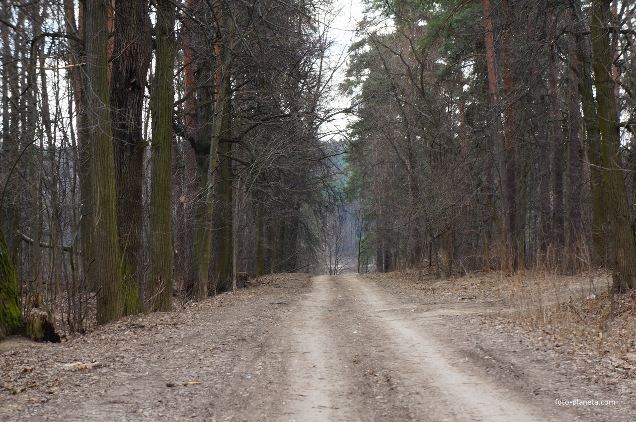 Посёлок Измайлово. Бывшая усадьба Троицкое на Обитце