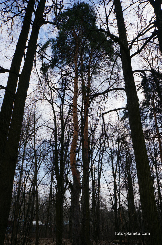 Посёлок Измайлово, бывшая усадьба Троицкое на Обитце