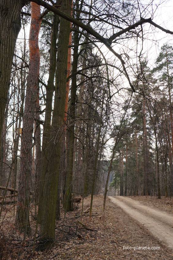 Бывшая усадьба Троицкое на Обитце