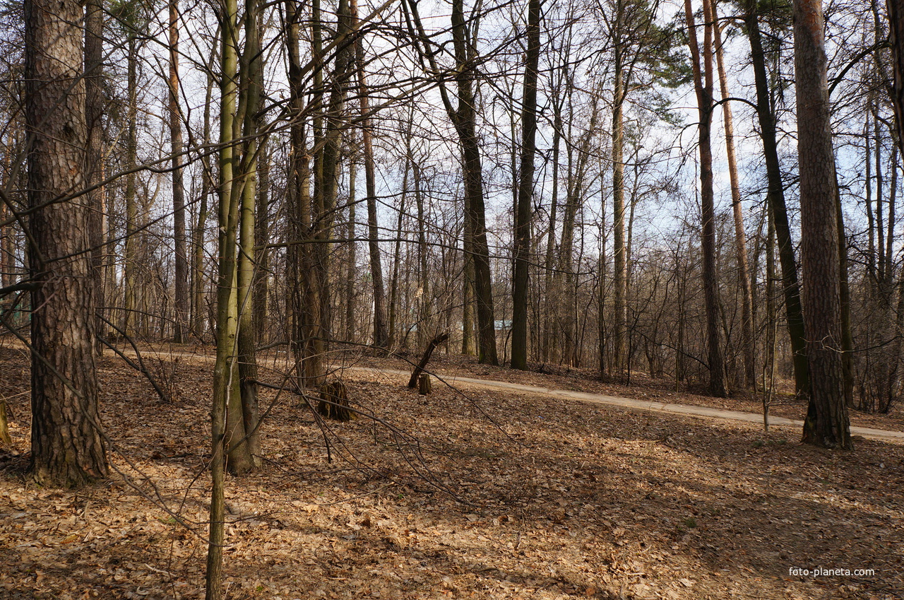 Бывшая усадьба Троицкое на Обитце