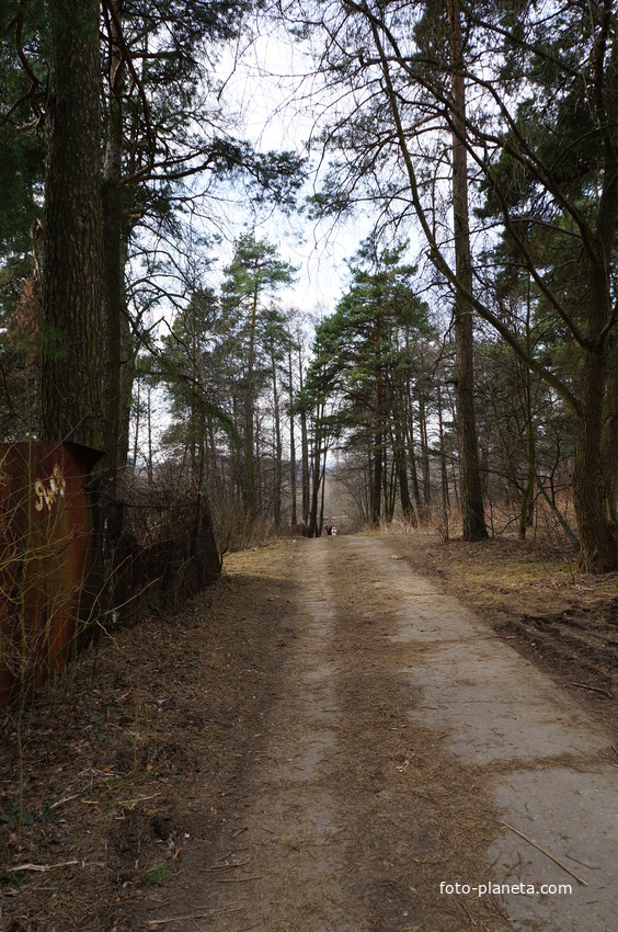 Территория бывшей усадьбы Троицкое на Обитце